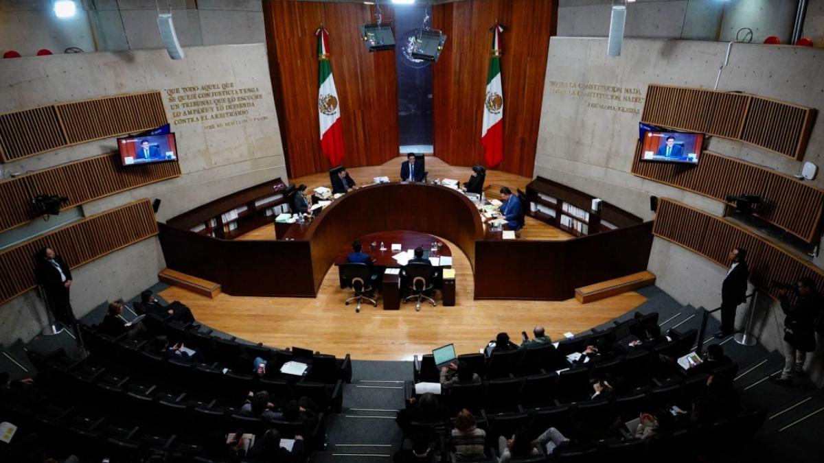 Piden protección a magistrados tras asesinato de dos personas relacionadas al TEPJF en Xochimilco