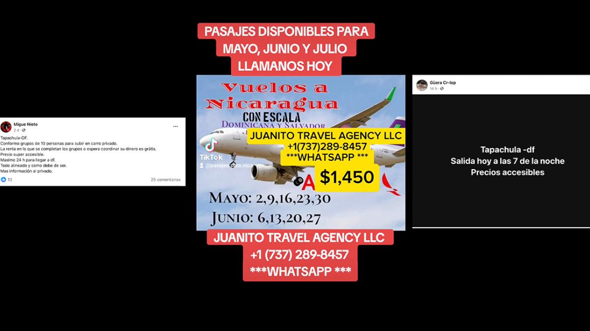 Denuncian red cubana de polleros; cobran hasta 9 mil dls por traslados