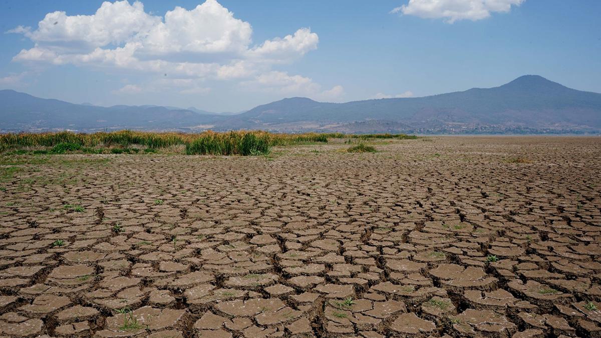 Enfrenta desertificación y sequía 43% del territorio