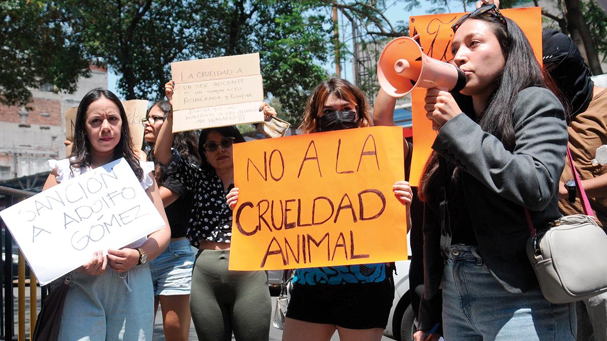 México está en top 10 de maltrato a animales