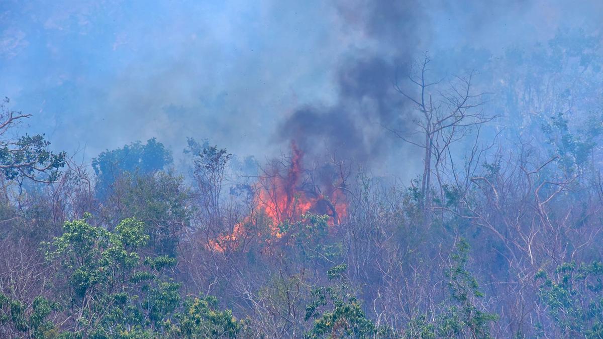 Activos, 86 incendios forestales en el país