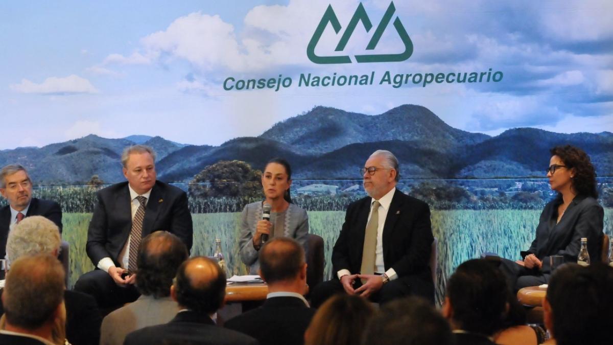 Consejo Nacional Agropecuario tiende mano a Sheinbaum para revisión del T-MEC