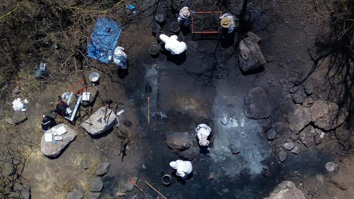 Crematorio de Iztapalapa: restos hallados son de perros, afirma Fiscalía de la CDMX