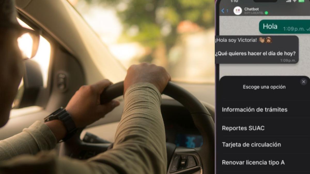 Paso a paso de cómo renovar la licencia de conducir por WhatsApp