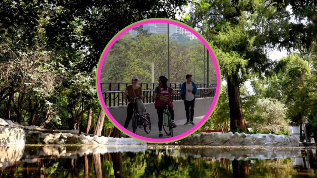 Bosque de Chapultepec: estas son todas las actividades gratuitas en mayo