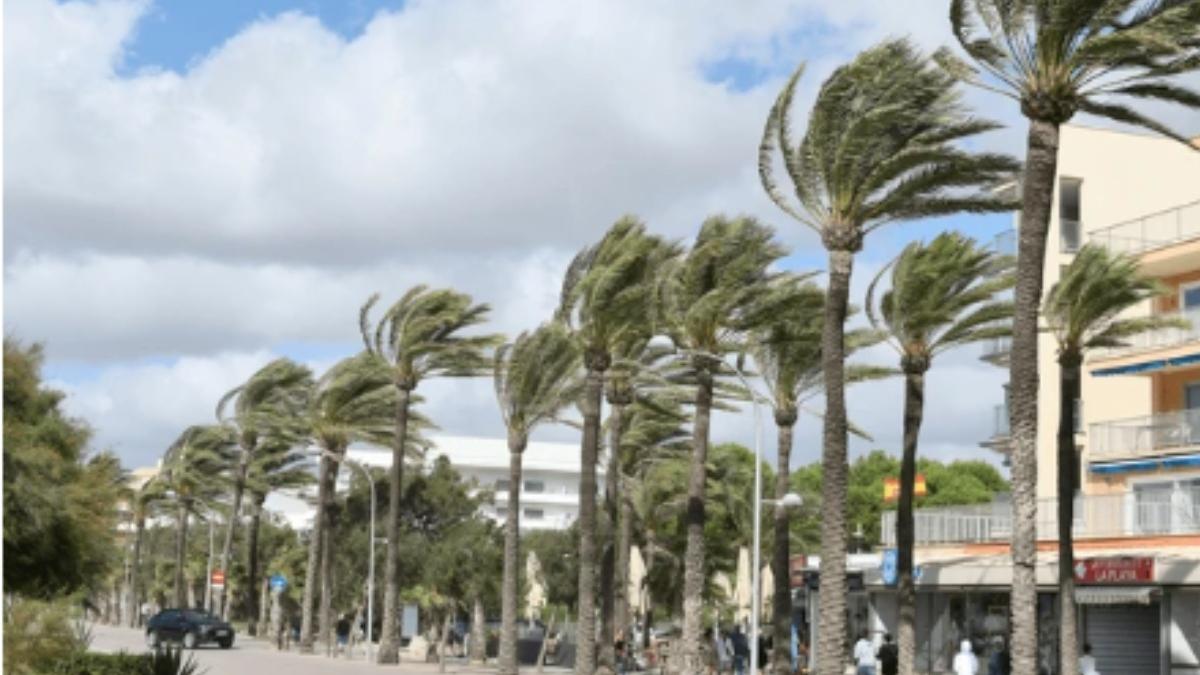 El viento se vuelve peligroso a estas velocidades ¡Atiende estas medidas de precaución!