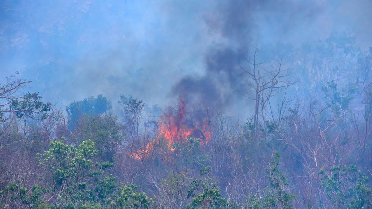 Hay 109 incendios en el país; 8% más en las últimas 24 horas, informa Conafor