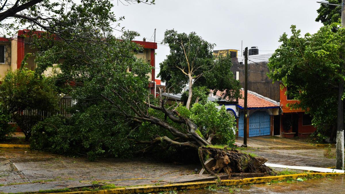 ¡Cuidado! Estos son los estados en los que se prevén tornados; advierten que se caerán árboles