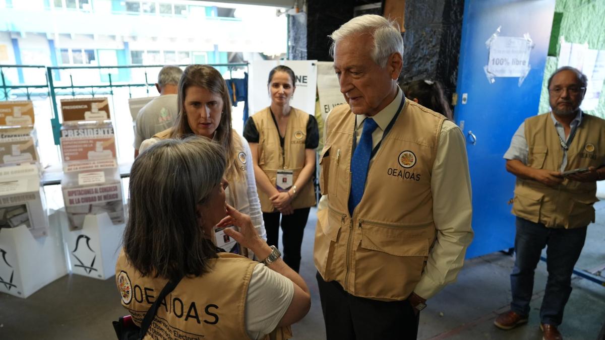 Observadores internacionales destacan gran afluencia a urnas