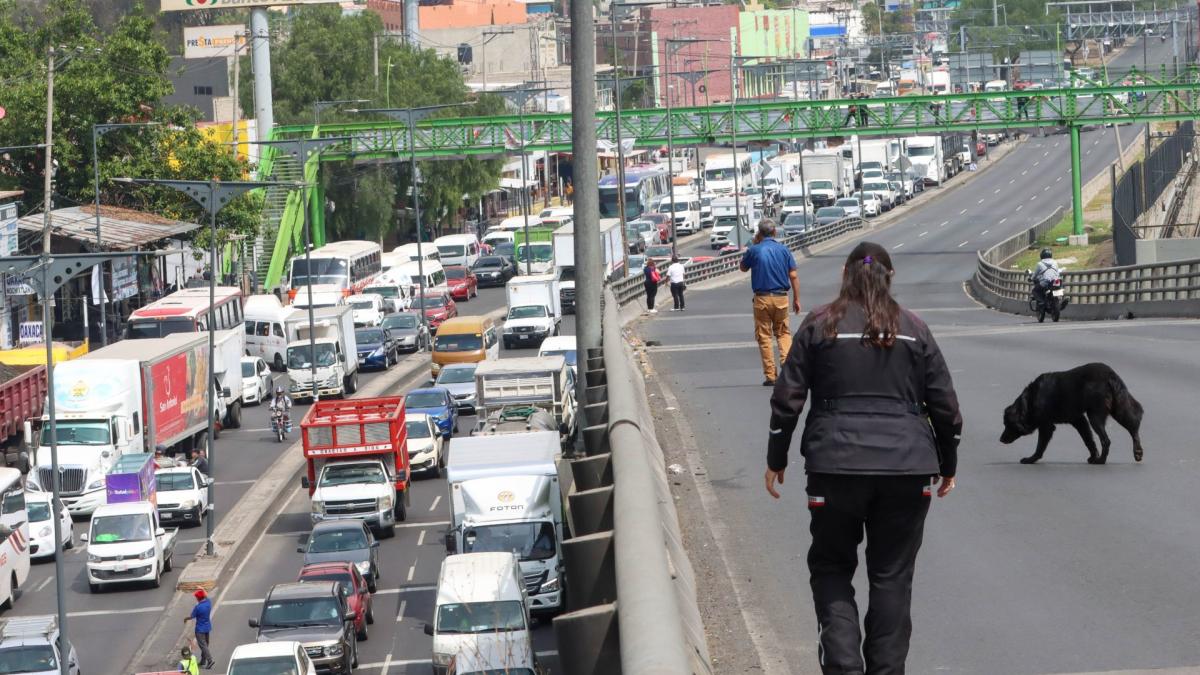 Bloqueos por marchas y manifestaciones en CDMX hoy 5 de junio