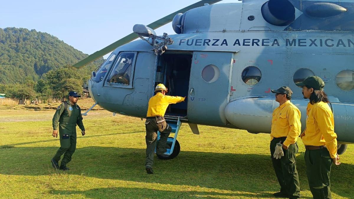 Gobierno de Veracruz reinician operaciones aéreas para combatir el incendio en Quimixtlán – La Razón de México