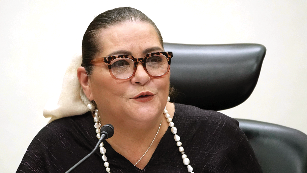INE debe esperar posible reforma electoral antes de considerar impacto presupuestal, señala Guadalupe Taddei