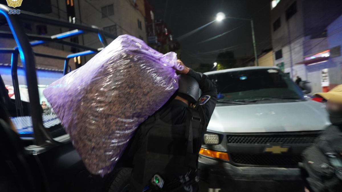 Tras 2 órdenes de cateo en inmuebles de la Venustiano Carranza, SSC de CDMX incauta 350 kilos de marihuana