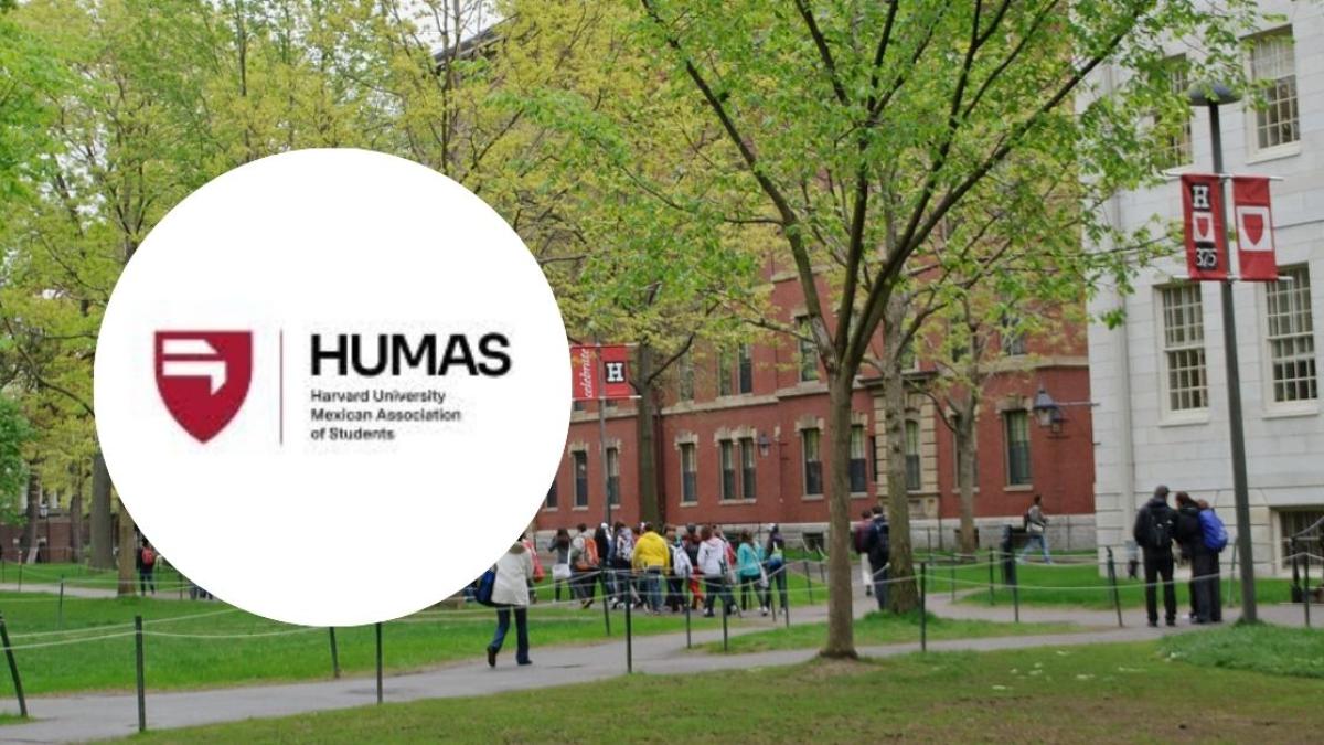 Denuncian fraude en organización de estudiantes mexicanos en Harvard