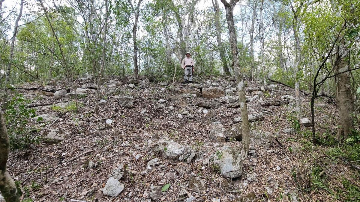 Ven oportunidad para restaurar ecosistemas