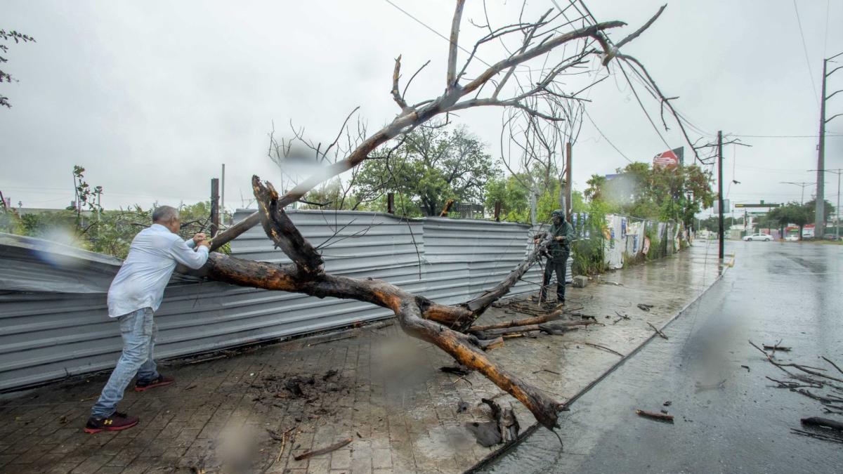 Cofepris activa este protocolo por emergencia sanitaria debido a depresión tropical Alberto