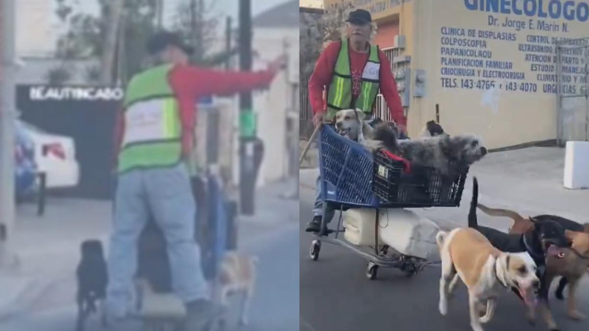 VIDEO | Hombre viaja en 'trineo' arrastrado por perritos, ¿ingenio o abuso?