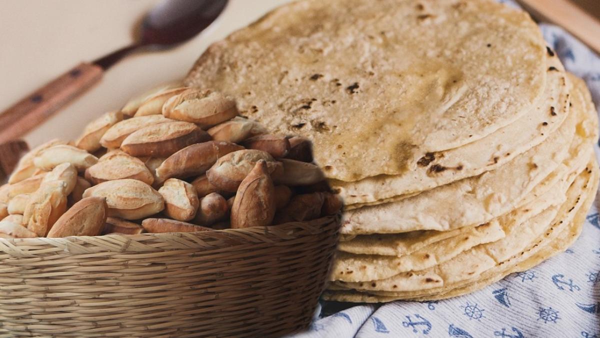 ¿Tacos o tortas? La UNAM dice quién tiene menos calorías el bolillo o la tortilla