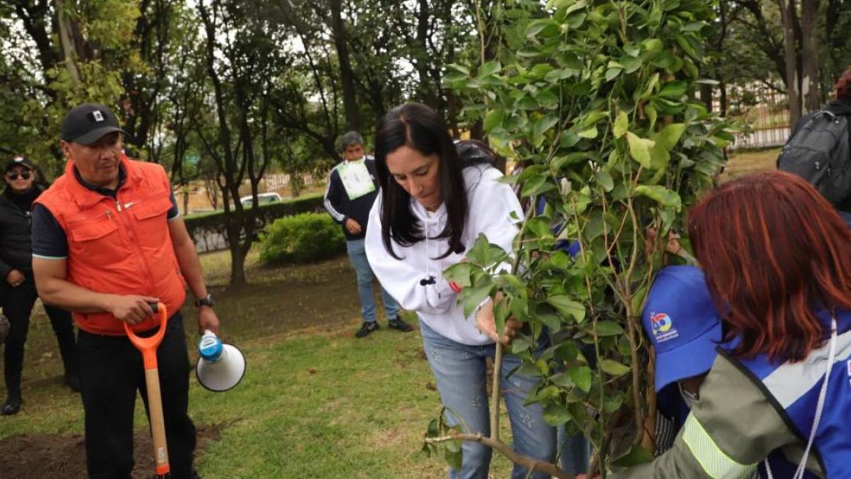 Lía Limón anuncia tercera jornada anual de reforestación en Álvaro Obregón