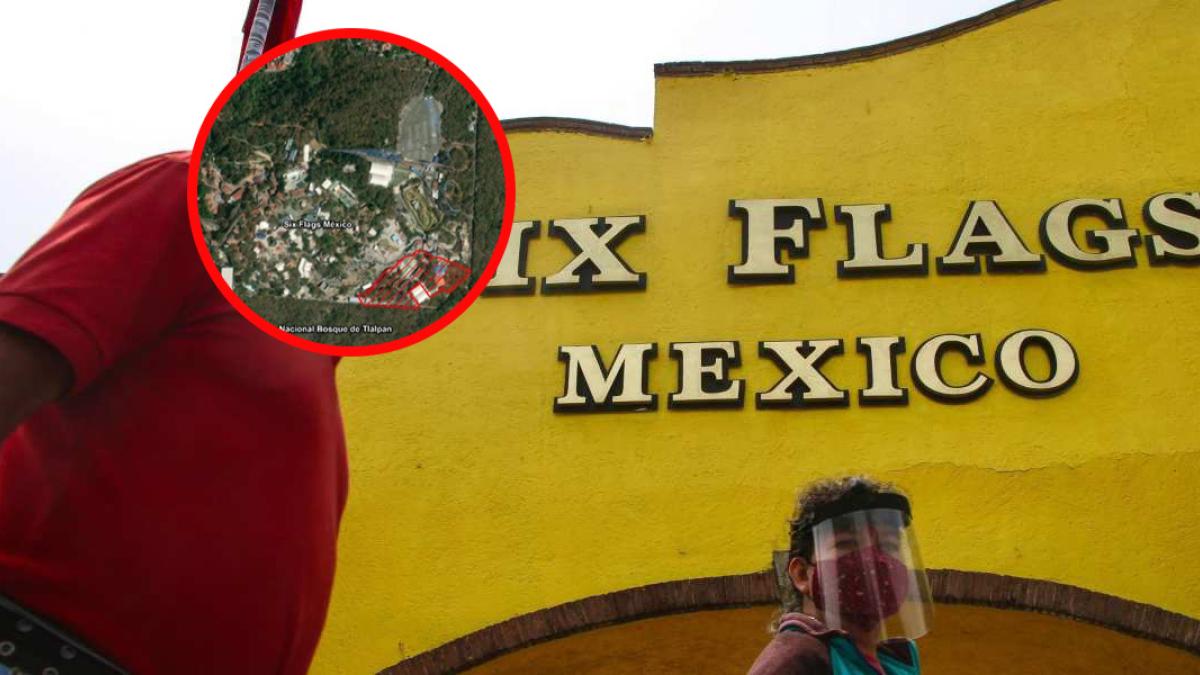 Buscan talar 151 árboles del Bosque de Tlalpan para nueva atracción de Six Flags; proyecto no tiene autorización