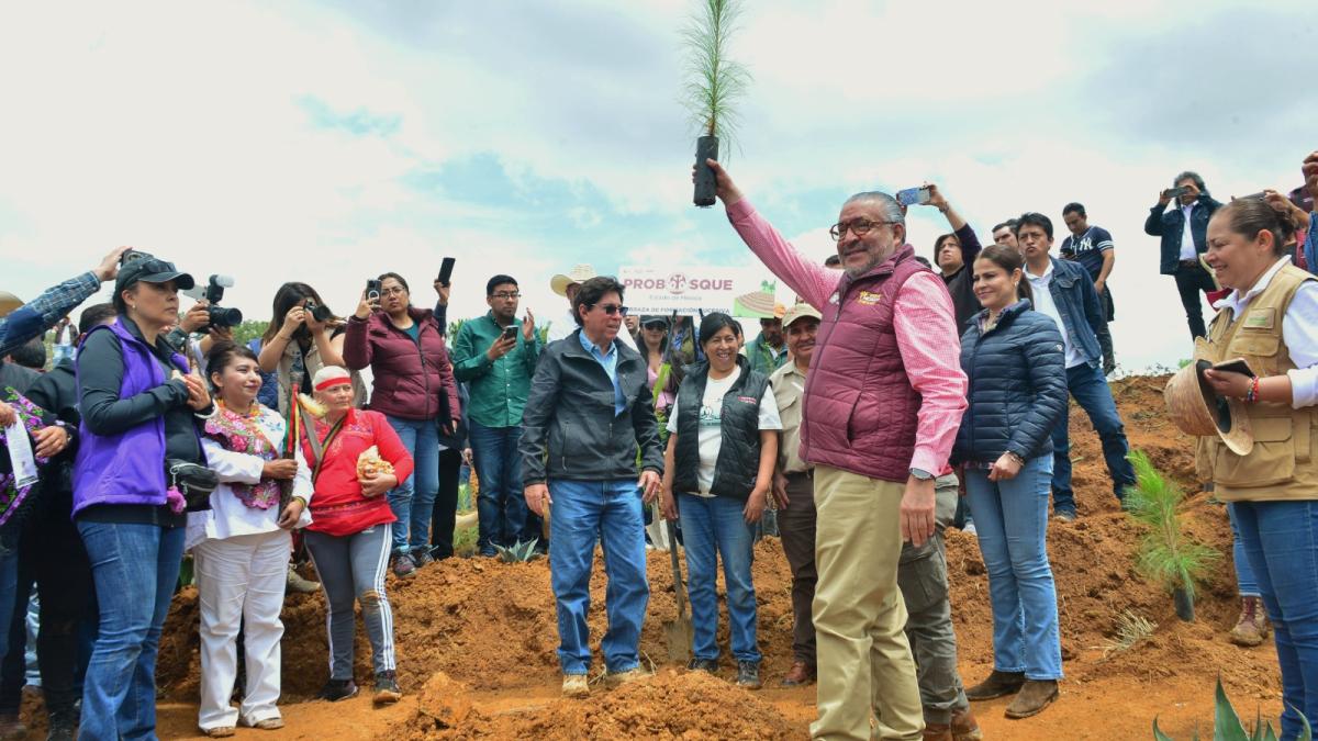 Gobierno del Estado de México pone en marcha Plan de Restauración Forestal y entrega apoyos económicos a ejidatarios – La Razón de México