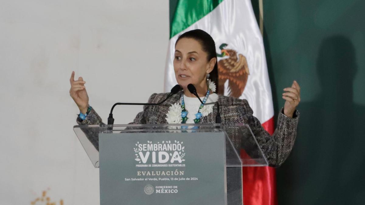 Nueva Escuela Mexicana “transformará vida de las personas”, afirma Sheinbaum; asegura continuidad de proyecto