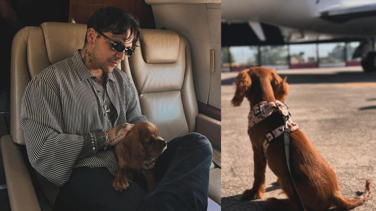 Christian Nodal abre una cuenta para su perro Chichí y lo tunden en redes: 'Te van a abandonar como a su hija'