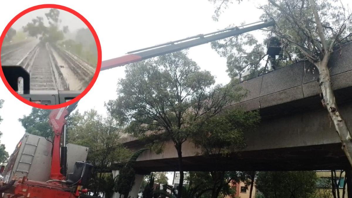 Por intensas lluvias cae un árbol sobre las vías de la Línea 4 del Metro; suspenden el servicio | VIDEO