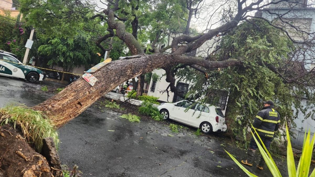 Lluvias provocan encharcamientos, árboles caídos y afectaciones viales en la CDMX