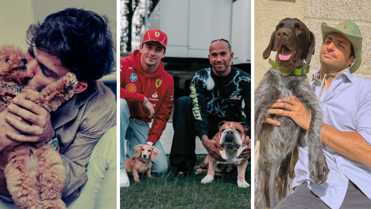 F1 | Los pilotos de Fórmula 1 celebran el Día Mundial del Perro junto a sus fieles compañeros