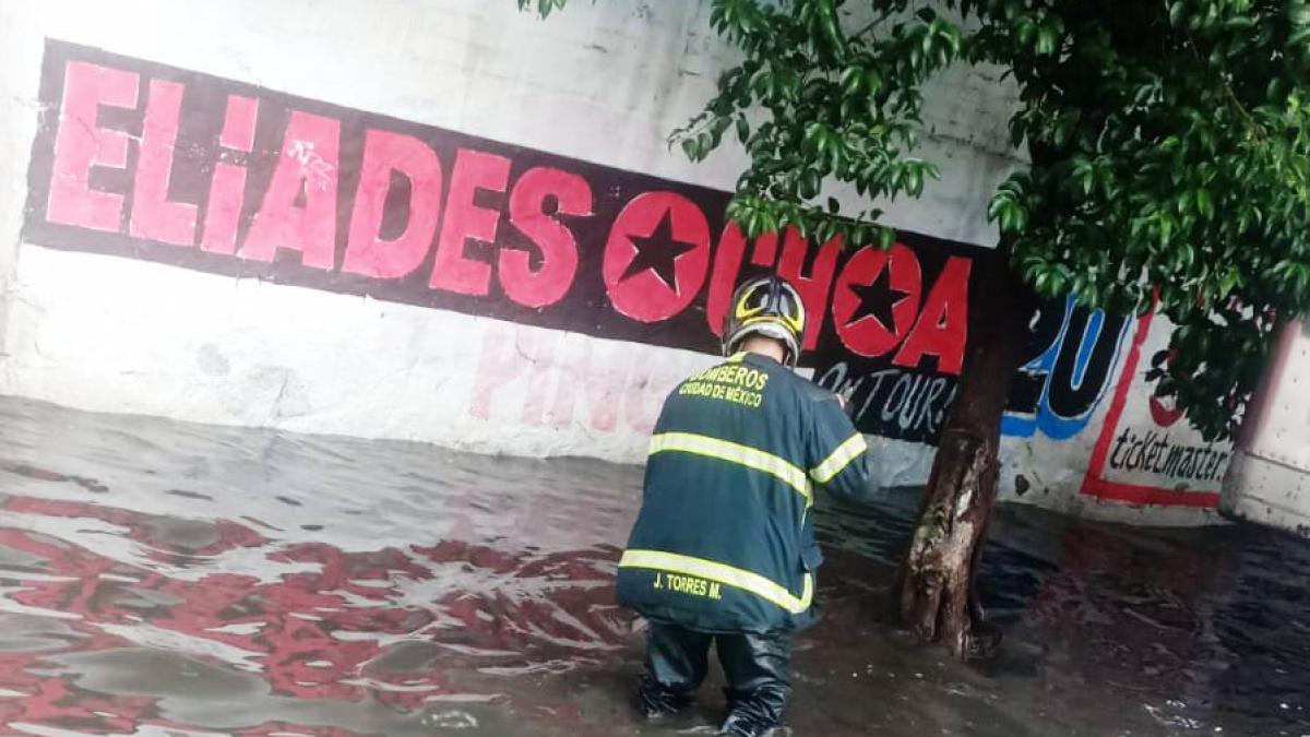 Lluvias provocan encharcamientos y árboles caídos en CDMX; activan Alerta Amarilla en estas alcaldías