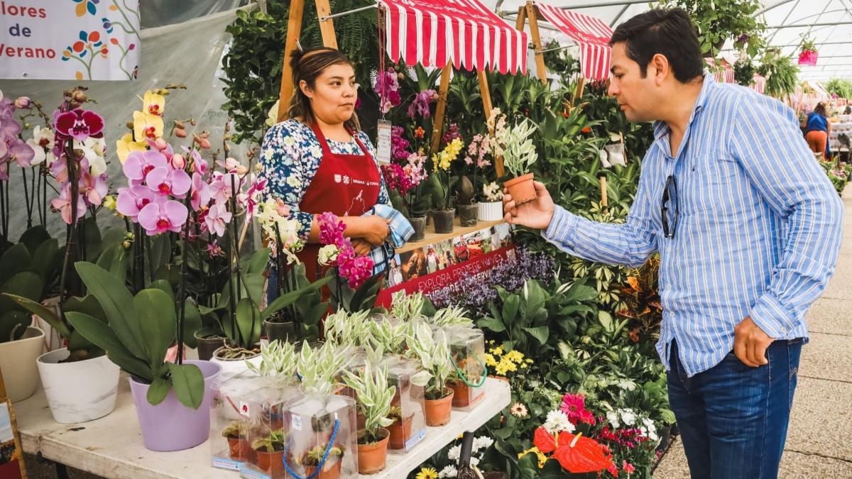 Arranca Festival Flores de Verano en Reforma: conoce fechas y horarios