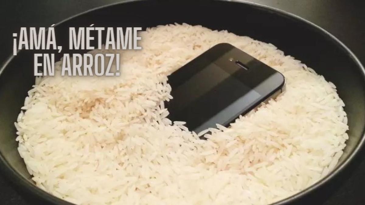 Ni lo intentes: Por estas razones no sirve de nada meter en arroz tu celular si se moja