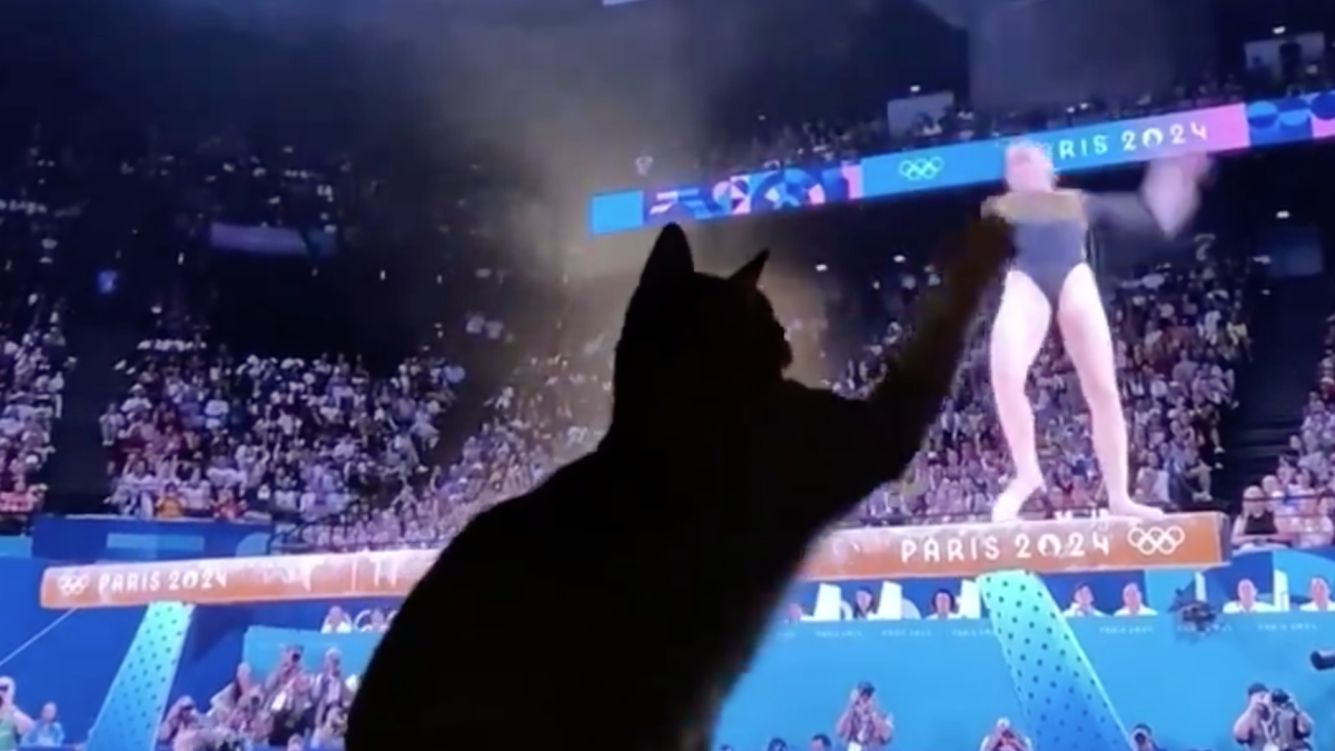 París 2024: Gatito se convierte en héroe al "salvar" de caída a la gimnasta Kaylia Nemour (Video)