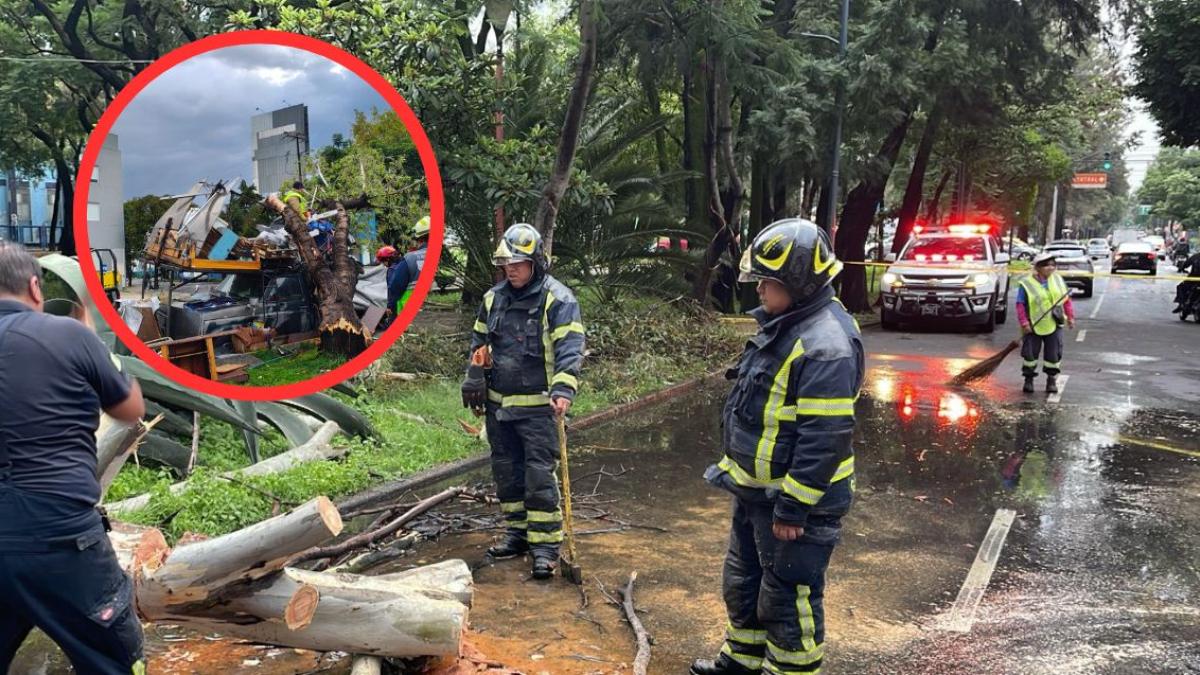 Intensas lluvias en CDMX provocan caída de árboles; activan Alerta Amarilla en todas las alcaldías | FOTO