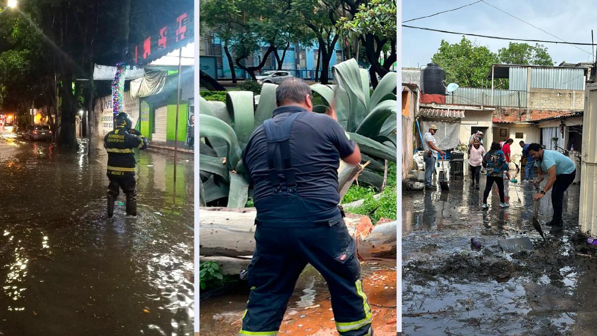 Caída de árboles y caos dejan fuertes lluvias en CDMX