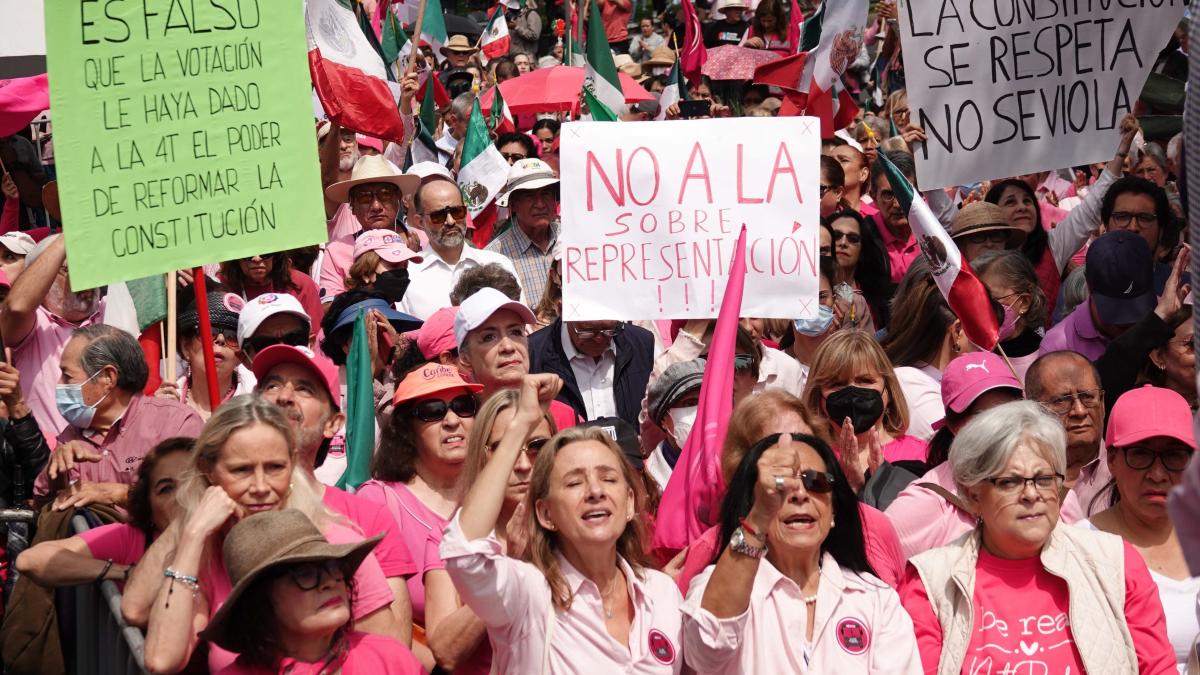 Marea Rosa va contra “salvaje e inconstitucional” supermayoría