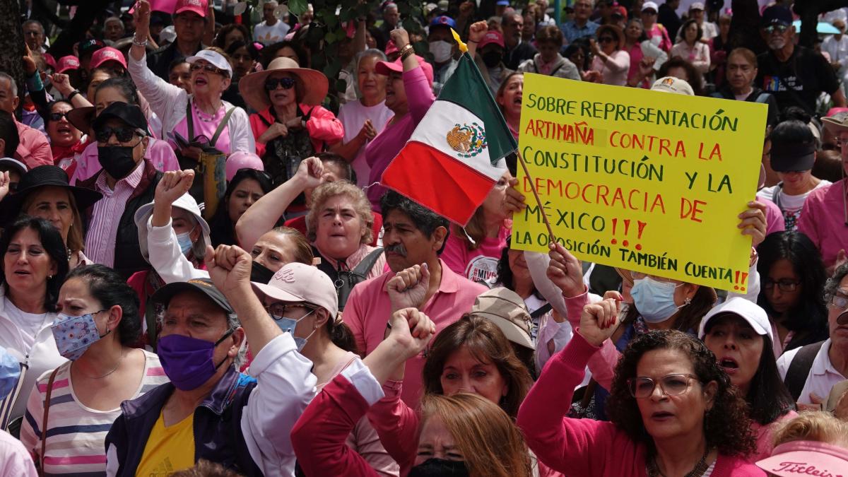 Frente Cívico presentará “amicus curiae” contra la sobrerrepresentación