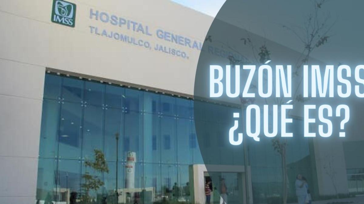 Así puedes activar el Buzón del IMSS, ¿para qué sirve?