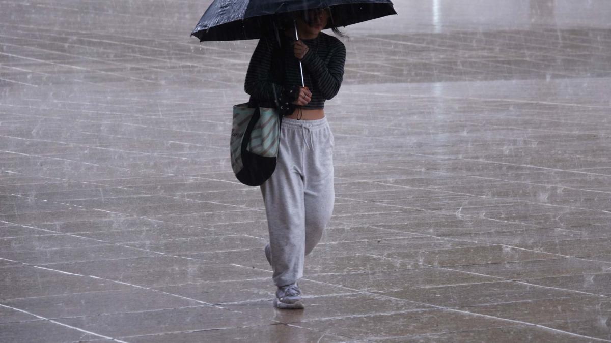 Clima en México HOY jueves 8 de agosto: Onda Tropical No. 16 provocará lluvias