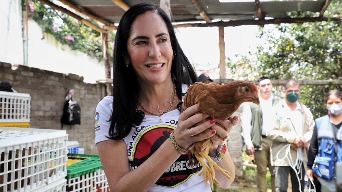 Lía Limon entrega mil 800 gallinas ponedoras a 180 familias de Álvaro Obregón