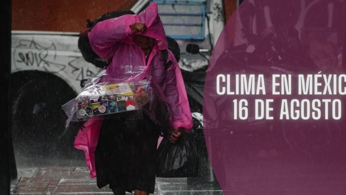 Clima en México HOY viernes 16 de agosto: Onda tropical 16 provocará lluvias intensas en 4 estados