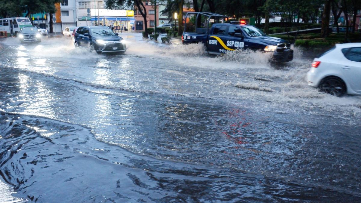 Programa Hoy No Circula: ¿Qué autos no transitan este viernes 23 de agosto?