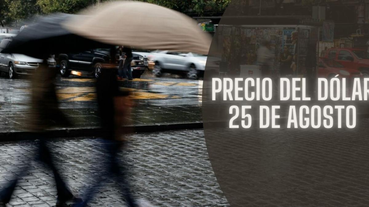 Clima en México HOY 25 de agosto: Onda tropical 19 provocará lluvias intensas en 5 estados