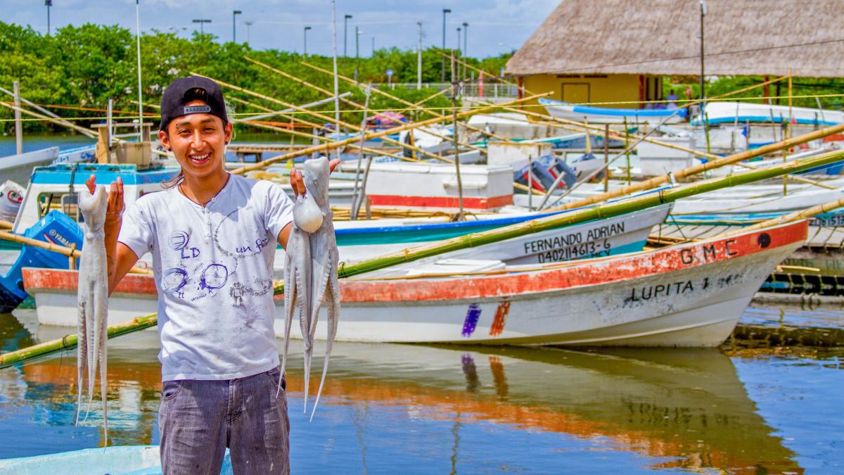 Pulpo Maya de la península de Yucatán obtiene Indicación Geográfica: Agricultura