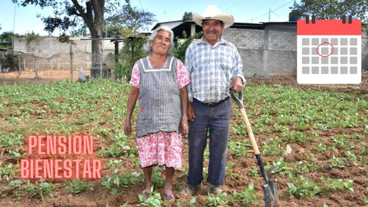 Pensión Bienestar: ¿Cuándo publican el CALENDARIO del pago de septiembre?