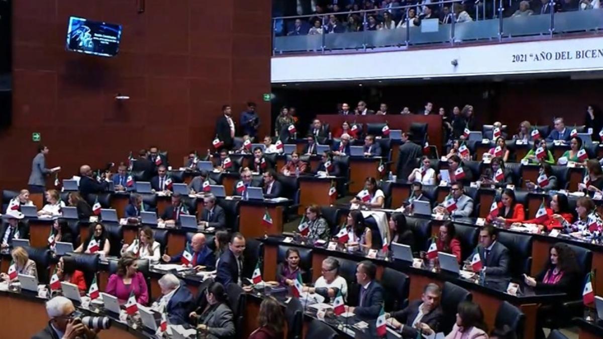 'Sin contrapesos, la democracia está en riesgo', afirman opositores en el Senado