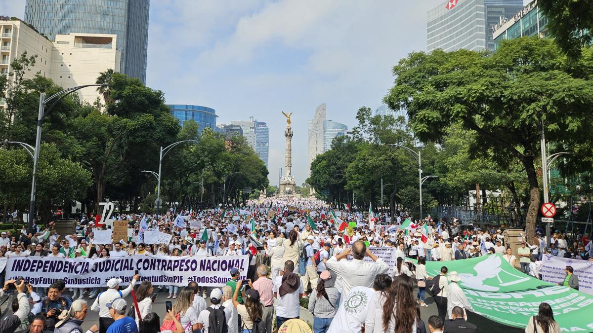 Héctor Saúl Téllez enfatiza que diputados del PAN van contra la reforma al Poder Judicial