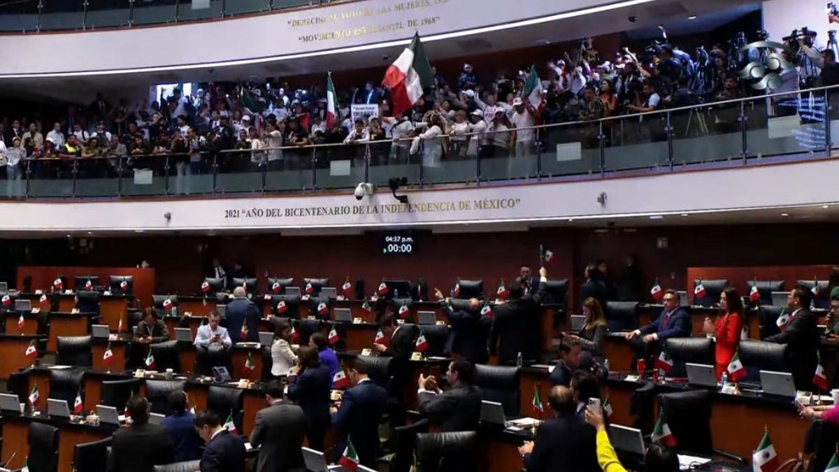 Manifestantes contra la reforma judicial dan portazo e irrumpen en el Senado | VIDEO