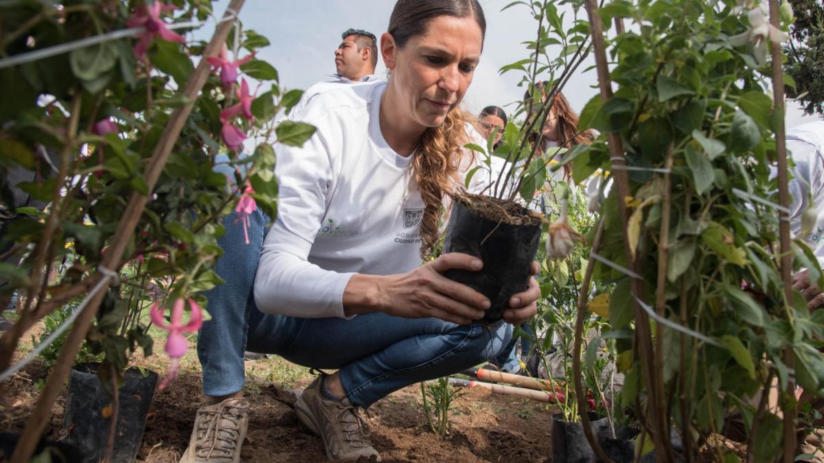 ¿Quién es Mariana Boy, próxima titular de Profepa?